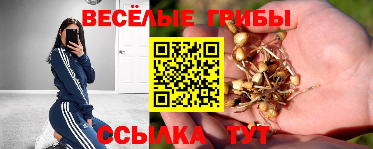 Галлюциногенные грибы Cubensis Анапа