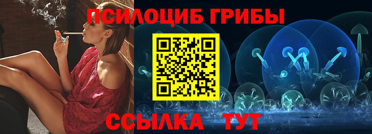 Галлюциногенные грибы Psilocybe Анапа